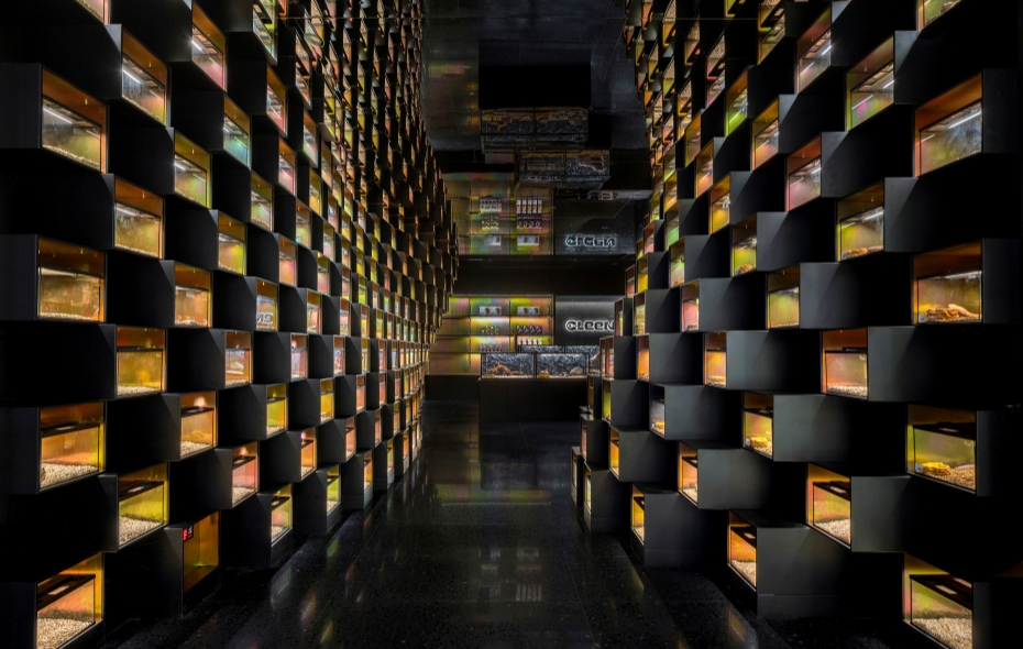 鳞动｜其鳞·爬宠体验店