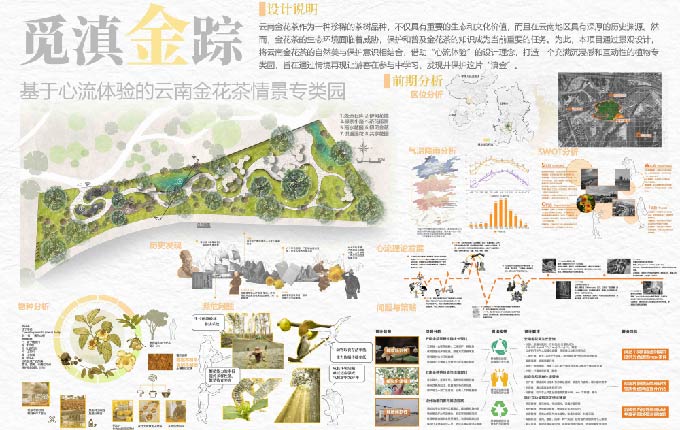 觅滇金踪——基于心流体验的云南金花茶情景专类园