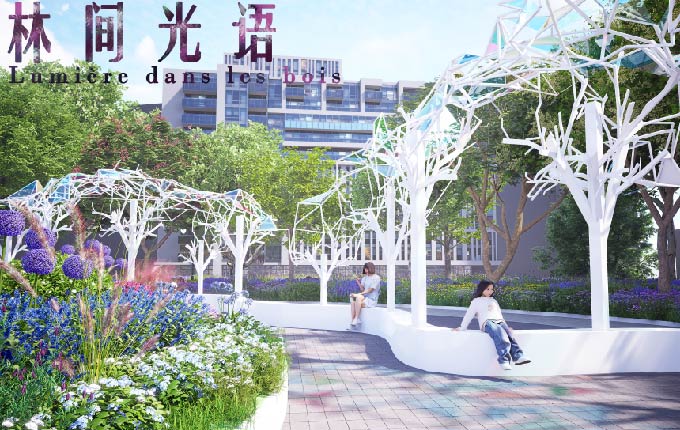 林间光语