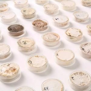 6.  材料与工艺创新