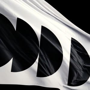 4. 移民与 diaspora 文化